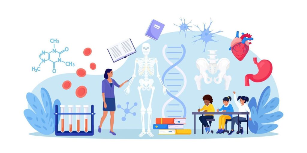 بهترین اساتید کنکور 3